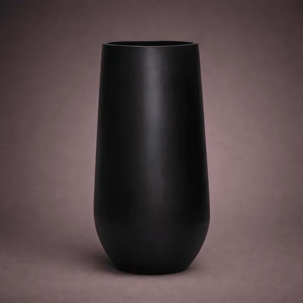 AMORE M BLACK - PAMPASKONING