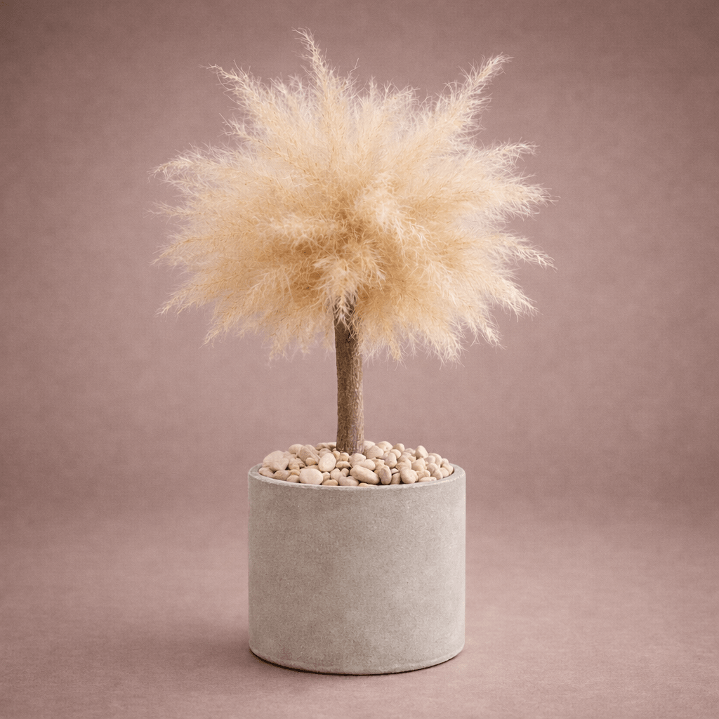 BABY BONSAI - PAMPASKONING