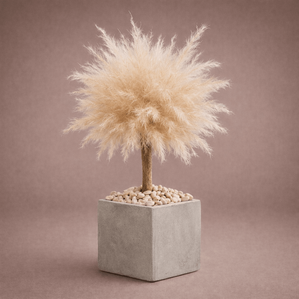 BABY BONSAI - PAMPASKONING