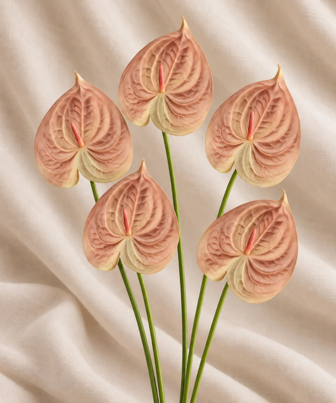 PREMIUM ANTHURIUM BEIGE
