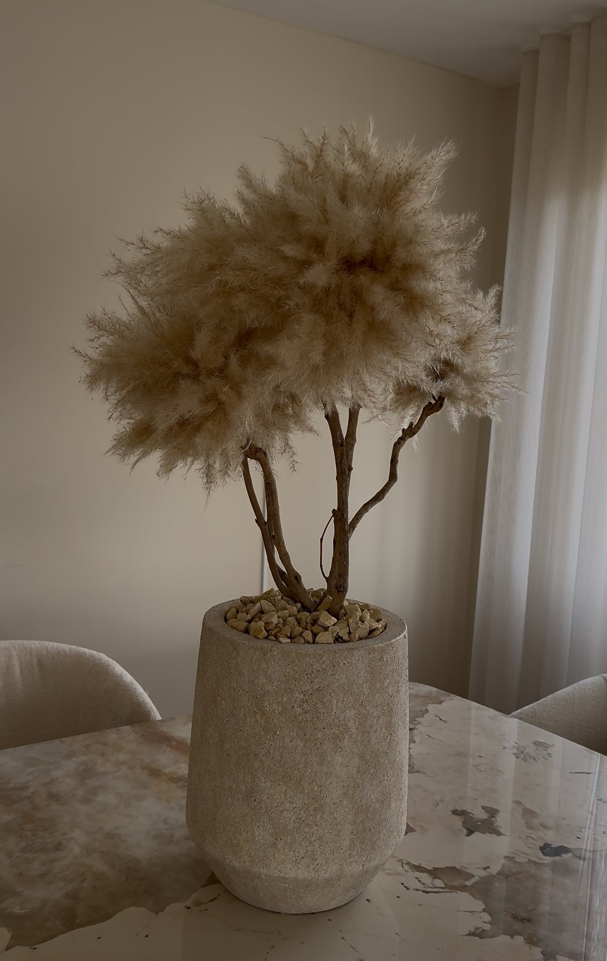BONSAI TM5 - PAMPASKONING