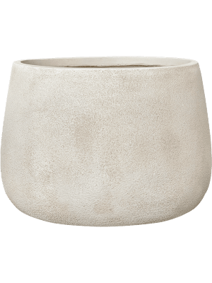 CHLOE - INTERIOR POT - HOME DECOR VASE - PAMPASKONING