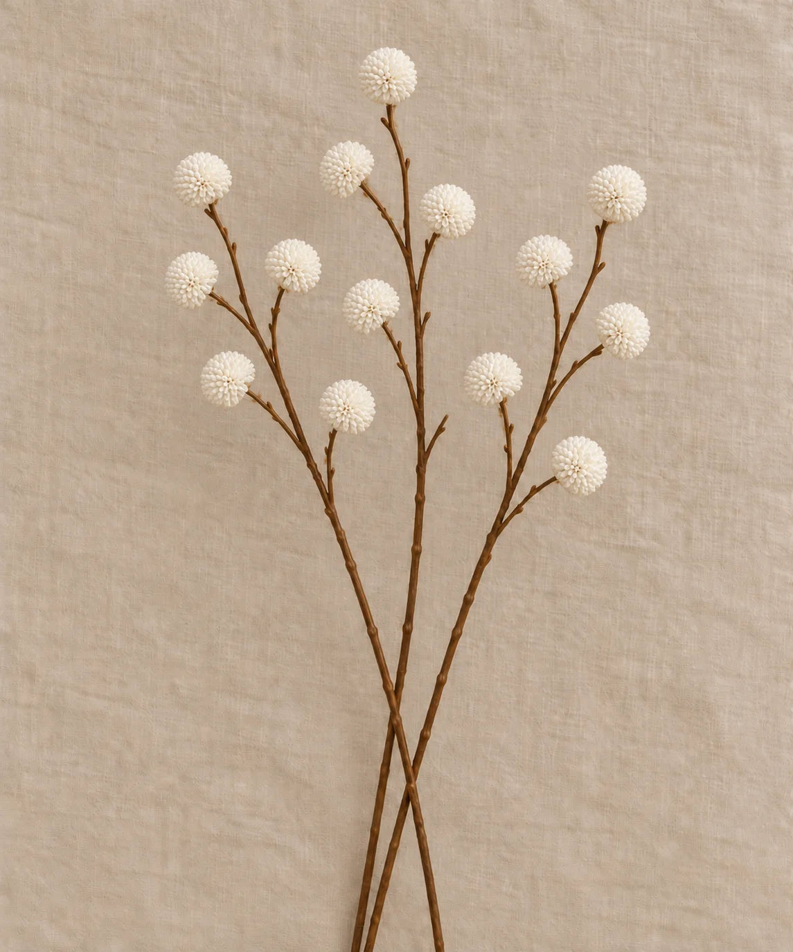 PREMIUM CHRYSANT WHITE