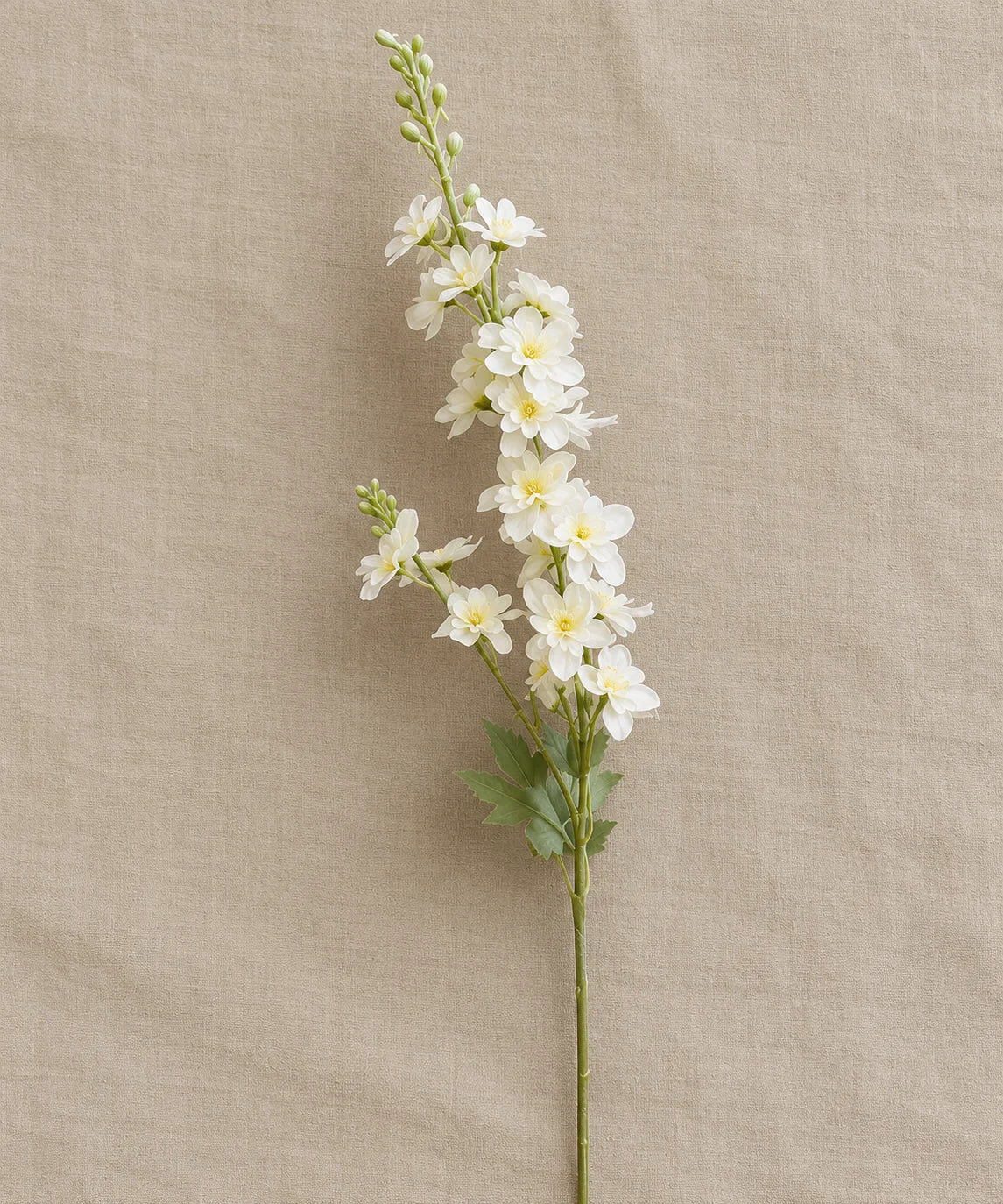 PREMIUM DELPHINIUM WHITE