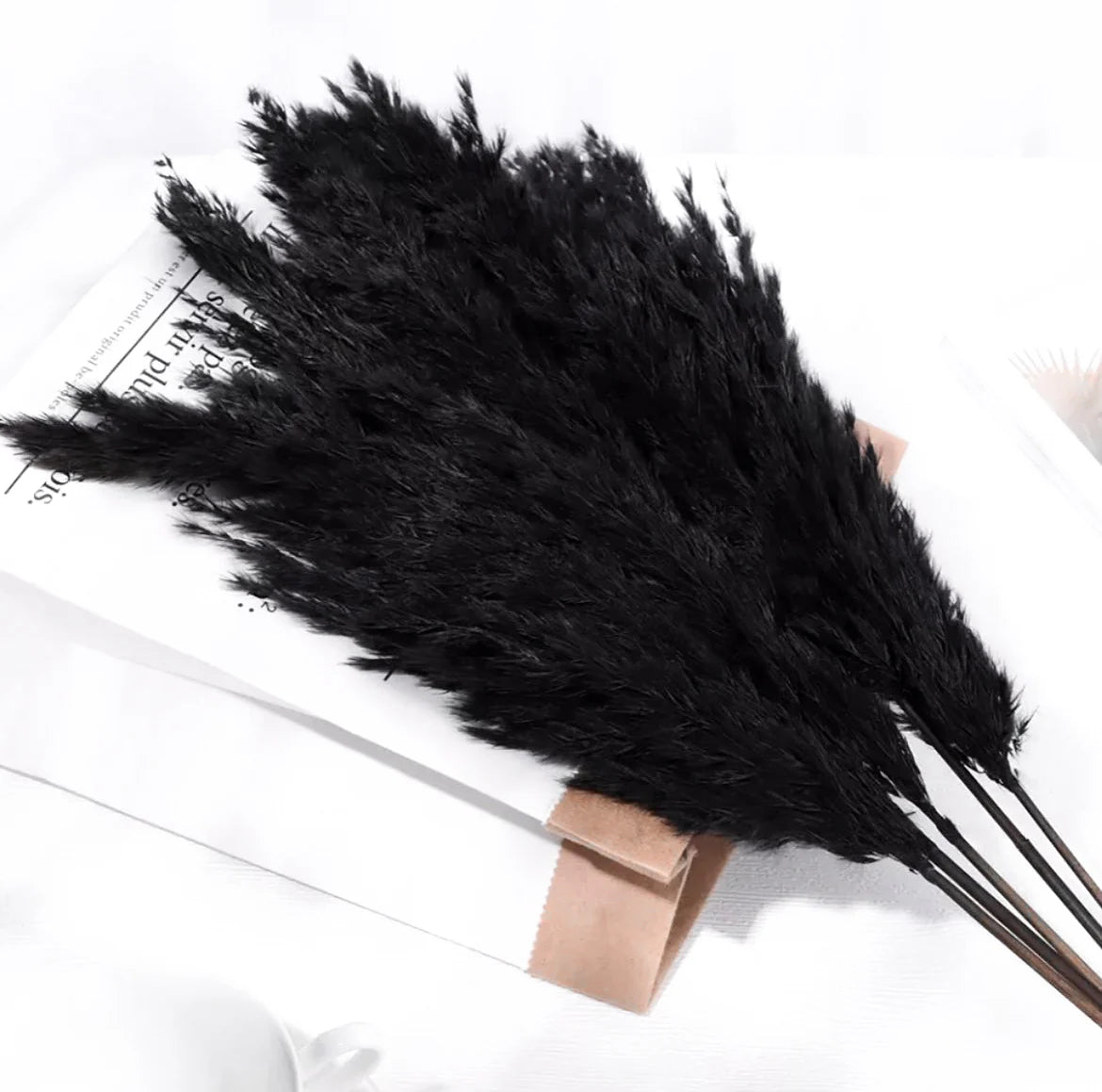 fluffy black pampas grass home decoration interior decoration dried flowers