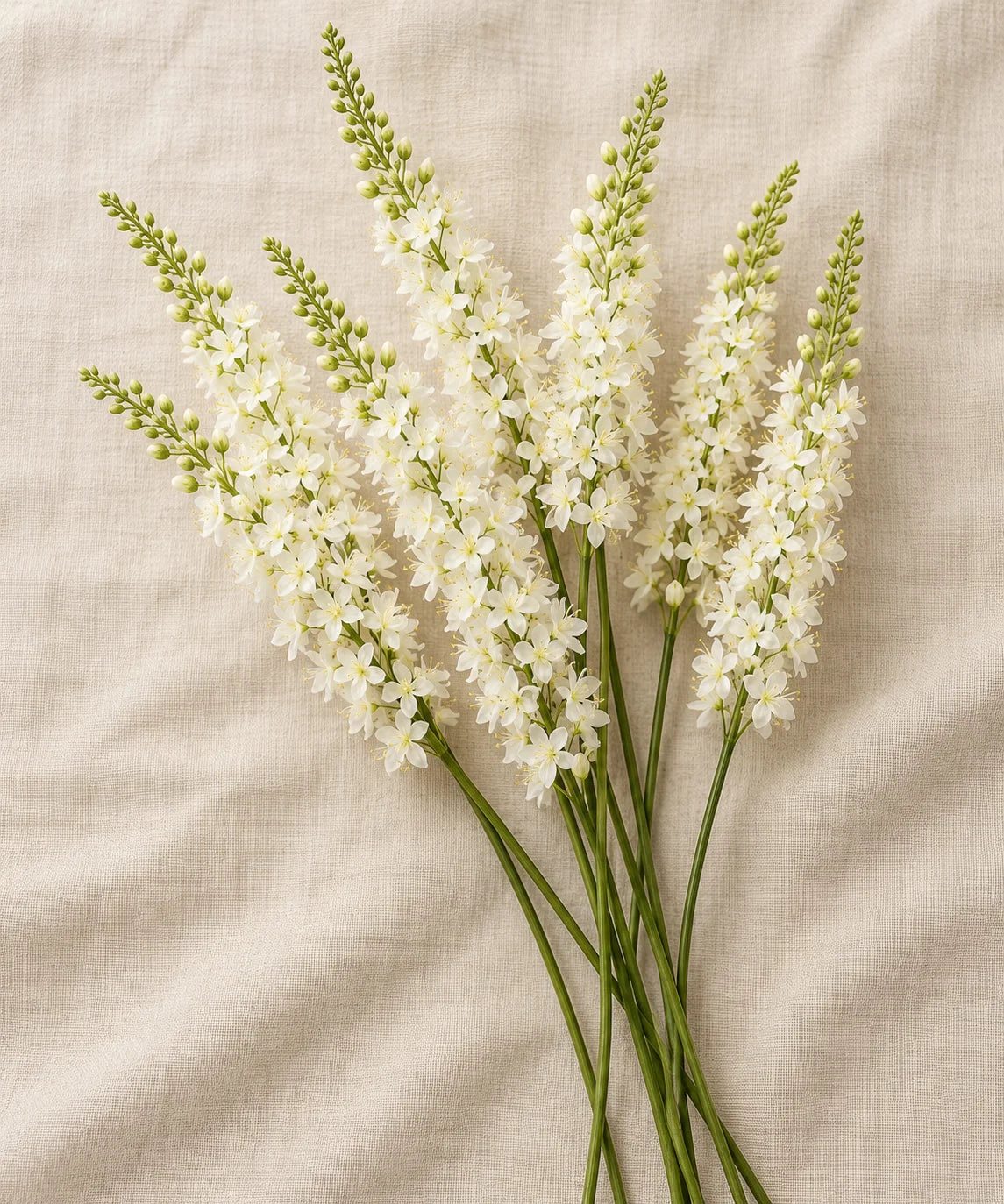 PREMIUM FOXTAIL LILY WHITE