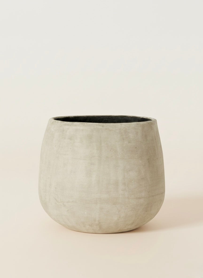 GIULIA - PAMPASKONING