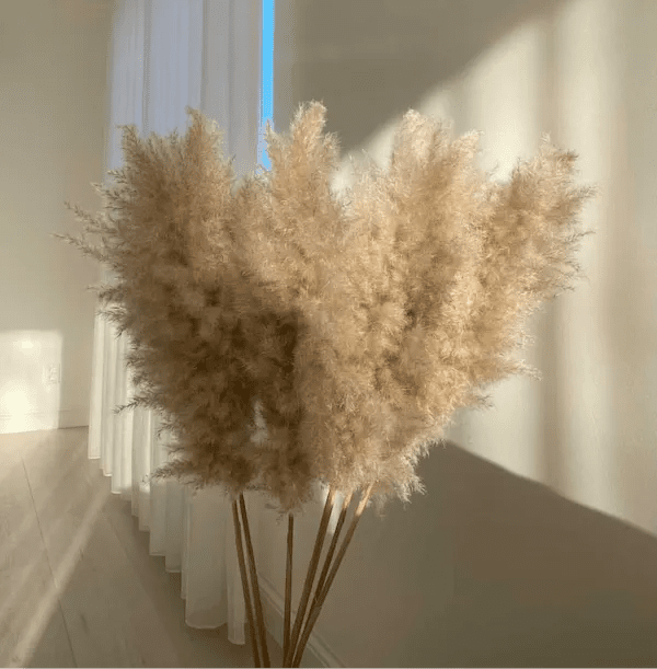 LUXE EXTRA FLUFFY - PAMPASKONING