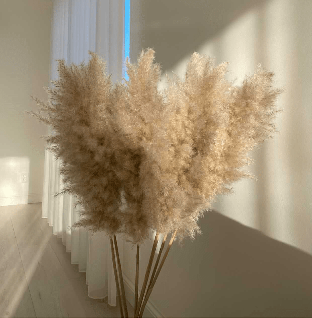 LUXE EXTRA FLUFFY - Pampas Grass - Dried Flowers - Interior Decoration - PAMPASKONING