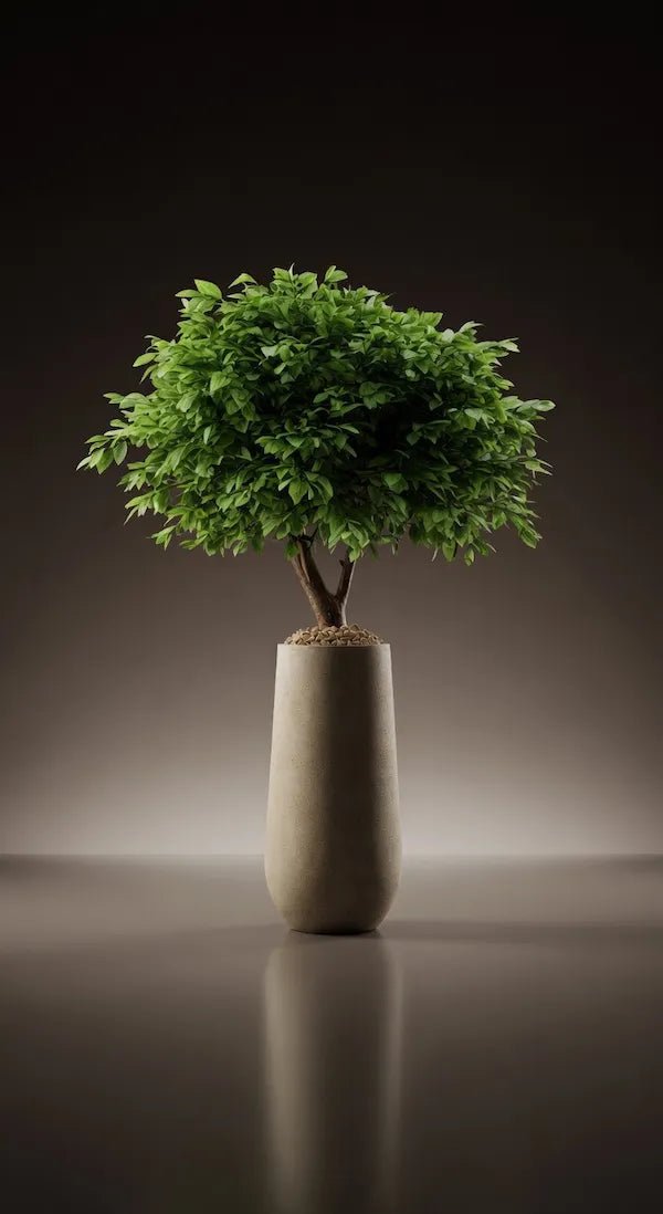 MANSORY TREE - PAMPASKONING