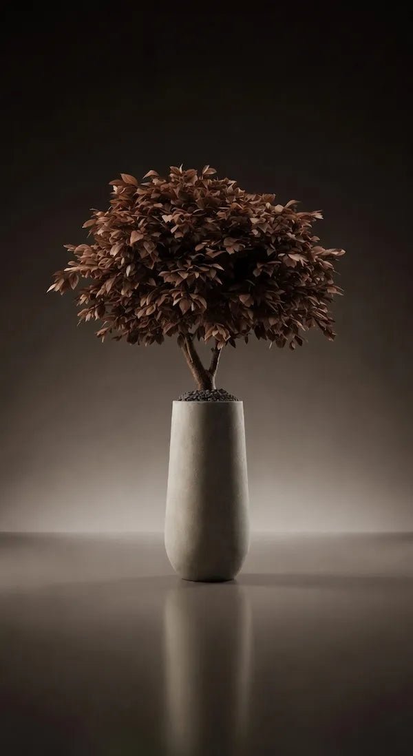 MANSORY TREE - PAMPASKONING