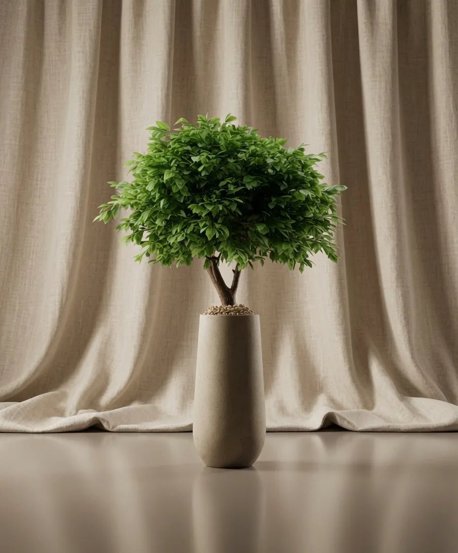 MANSORY TREE - PAMPASKONING