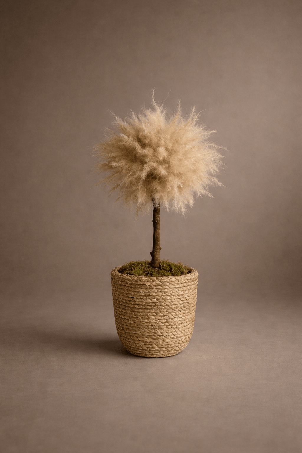 MINI IBIZA PALM TREE TM12 - PAMPASKONING