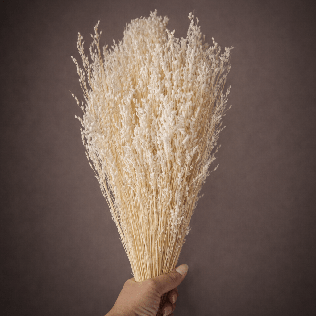 MISTY - DRIED FLOWERS - HOME DECOR - PAMPASKONING