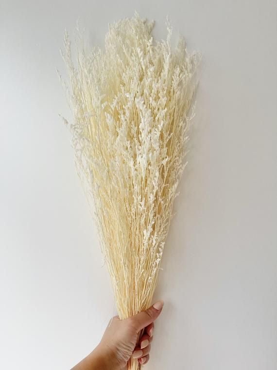 MISTY - dried flowers - home decor - bleached dried flowers