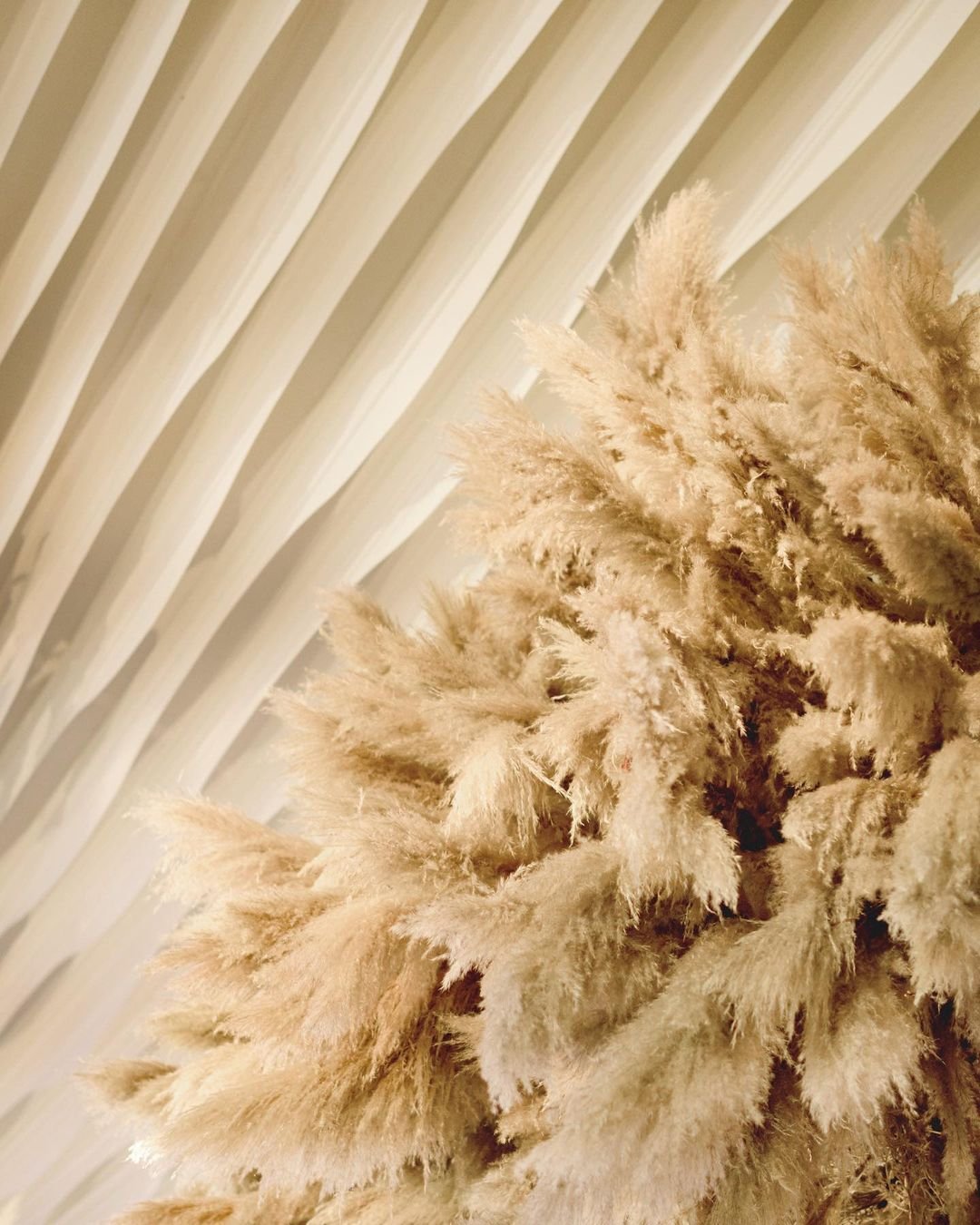 OAK PAMPAS TREE TM11 - PAMPASKONING