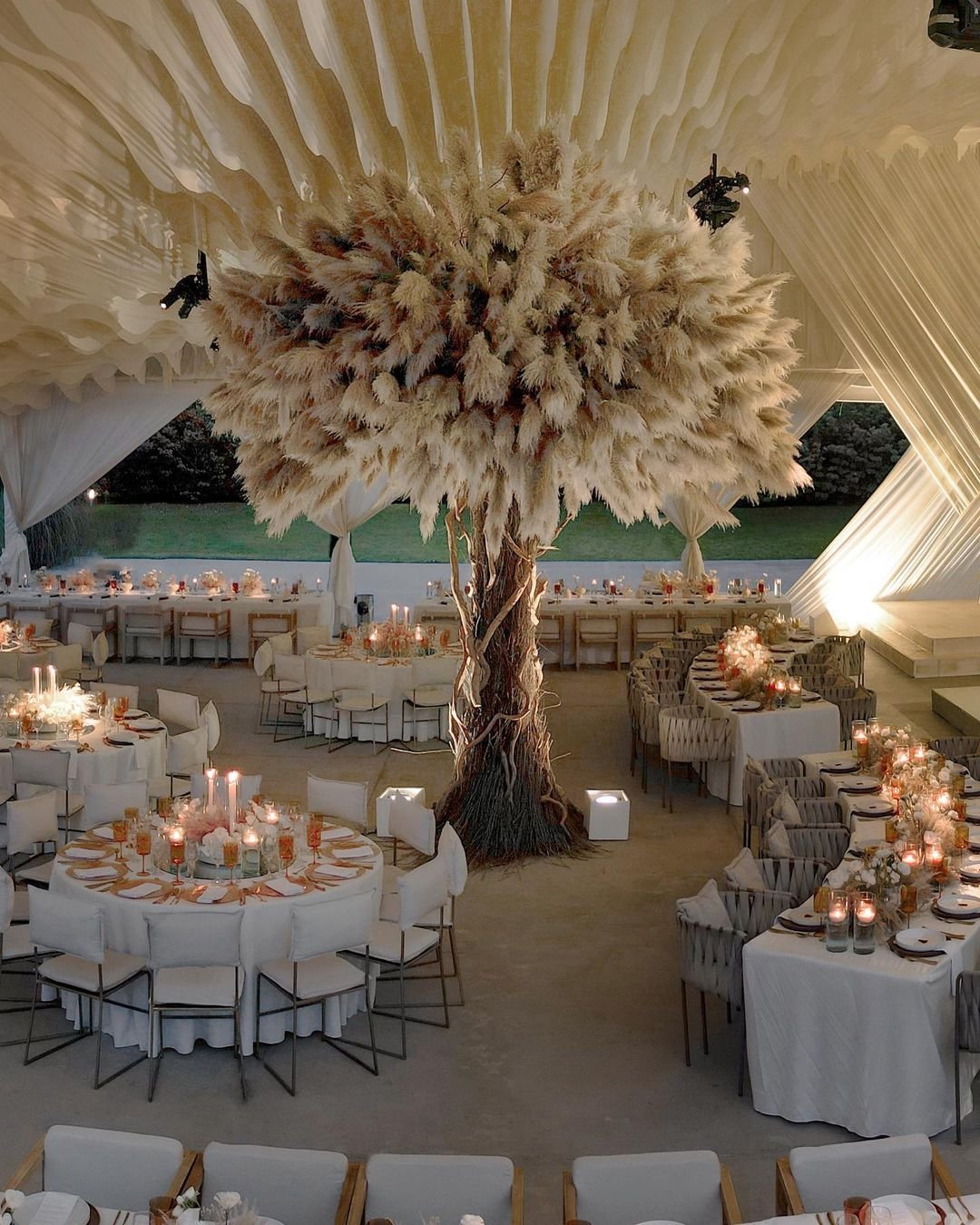 OAK PAMPAS TREE TM11 - PAMPASKONING