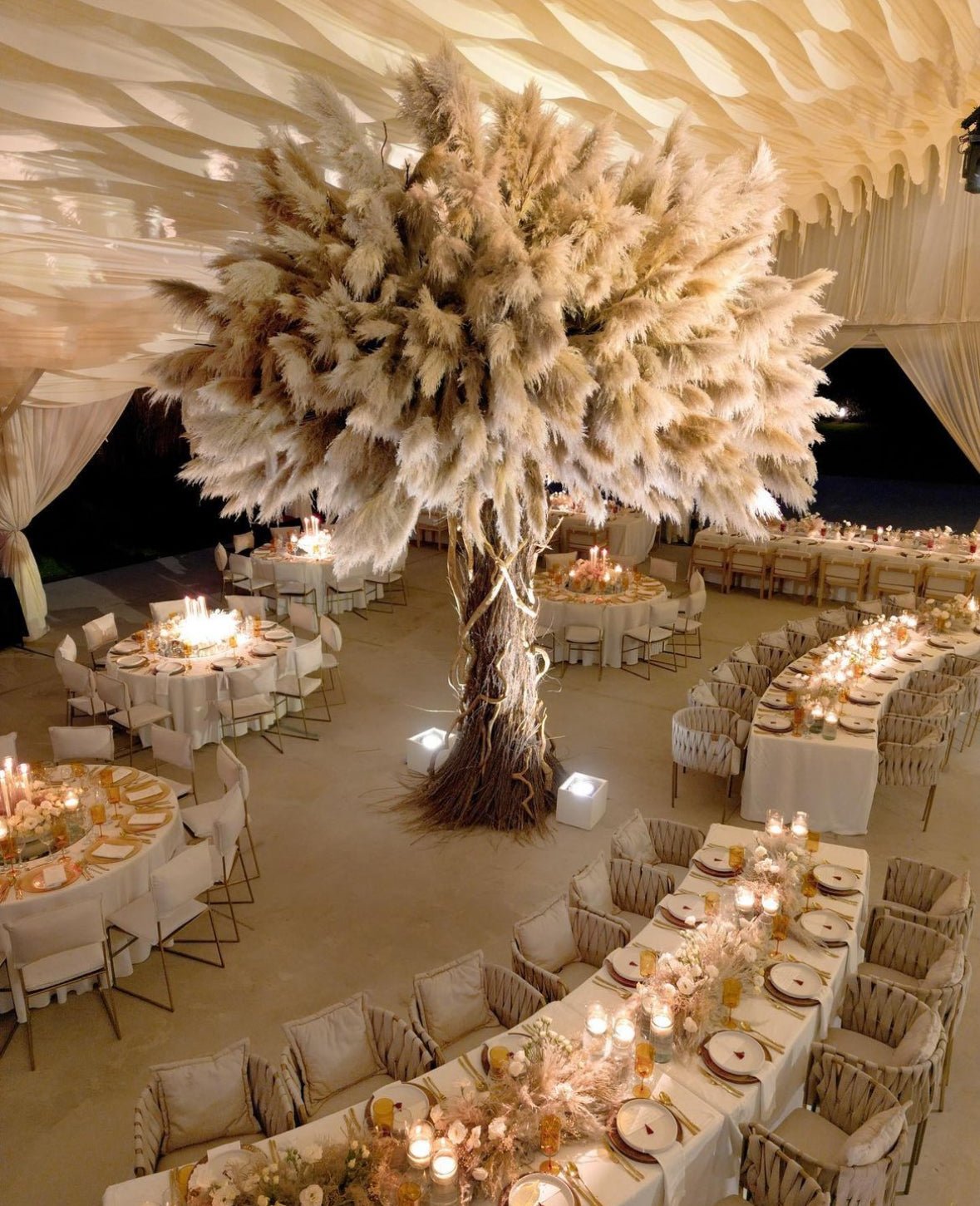 OAK PAMPAS TREE TM11 - PAMPASKONING