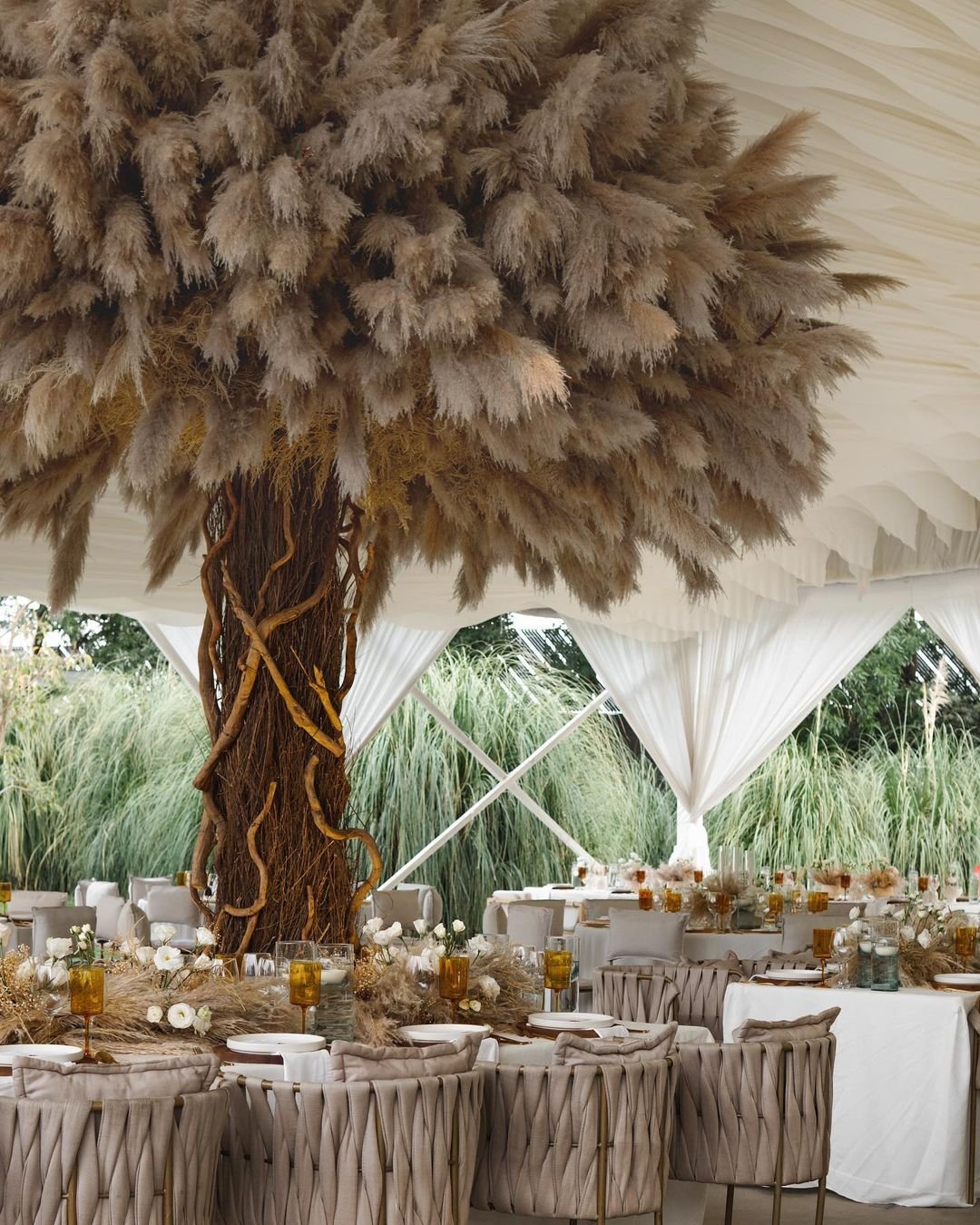 OAK PAMPAS TREE TM11 - PAMPASKONING