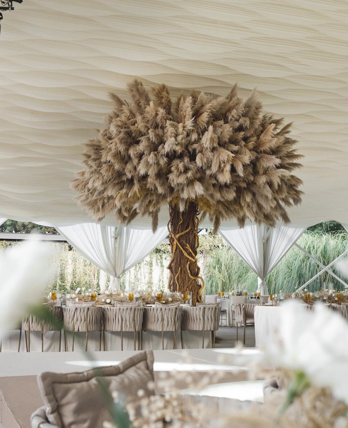 OAK PAMPAS TREE TM11 - PAMPASKONING