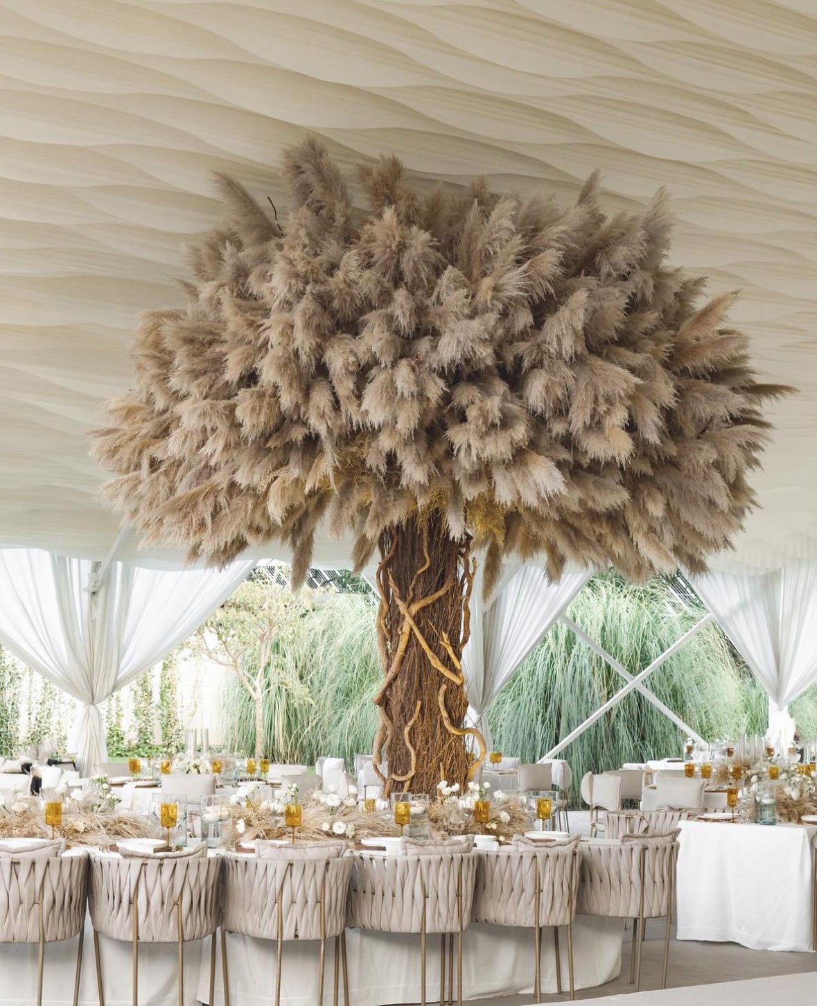 OAK PAMPAS TREE TM11 - PAMPASKONING