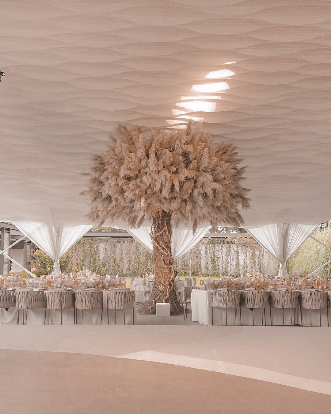 OAK PAMPAS TREE TM11 - PAMPASKONING