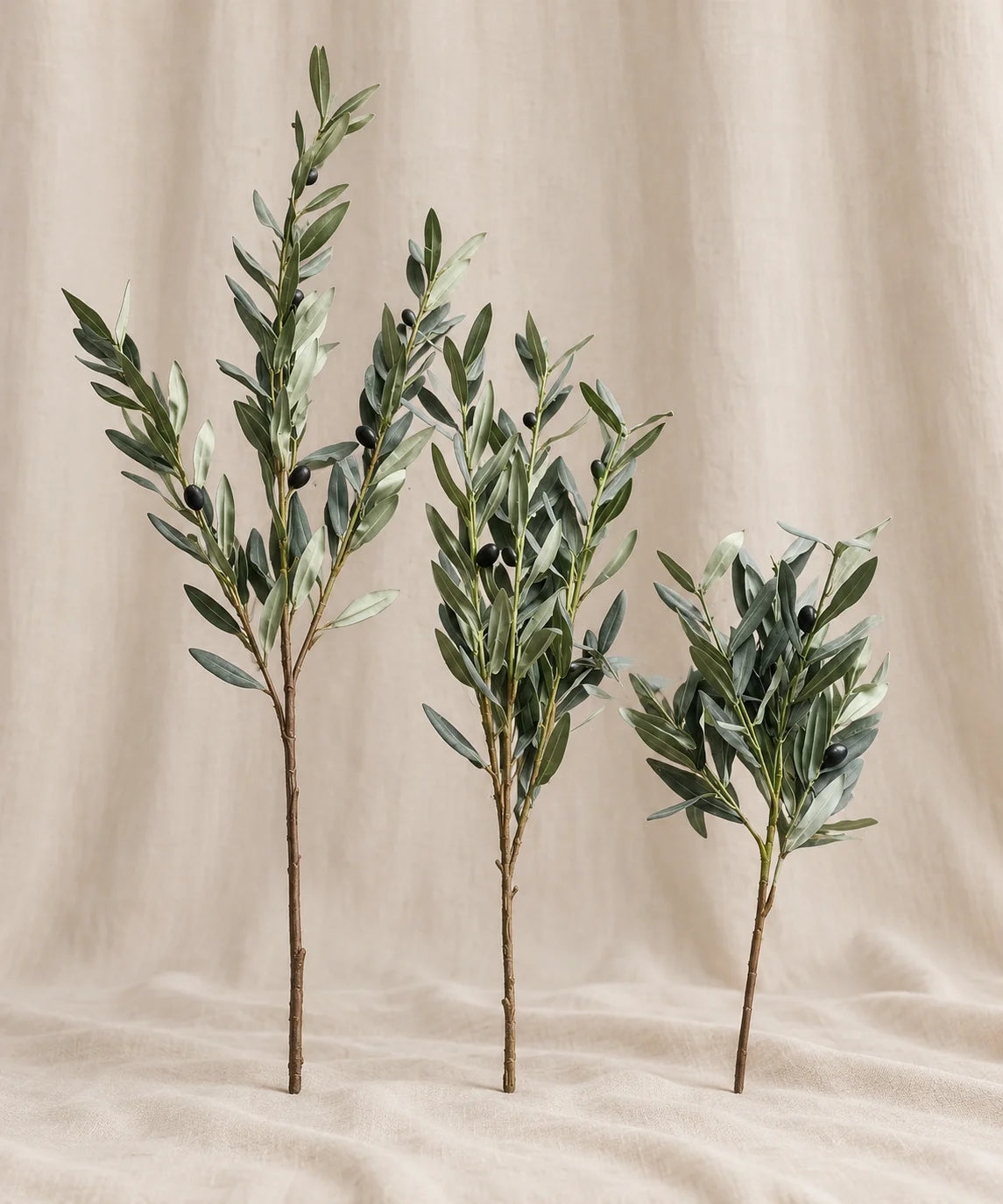 Premium Olive