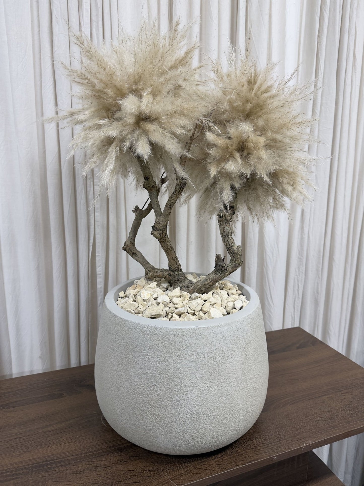PAMPAS BONSAI - PAMPAS GRASS TREE - HOME DECOR - PAMPASKONING