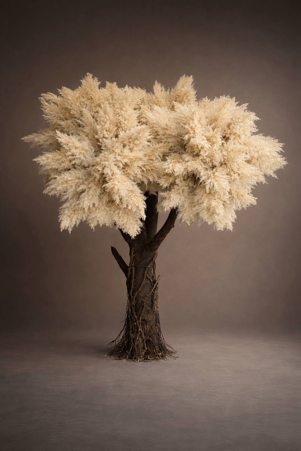 PAMPAS OAK - FLUFFY OAK TREE - PAMPASKONING