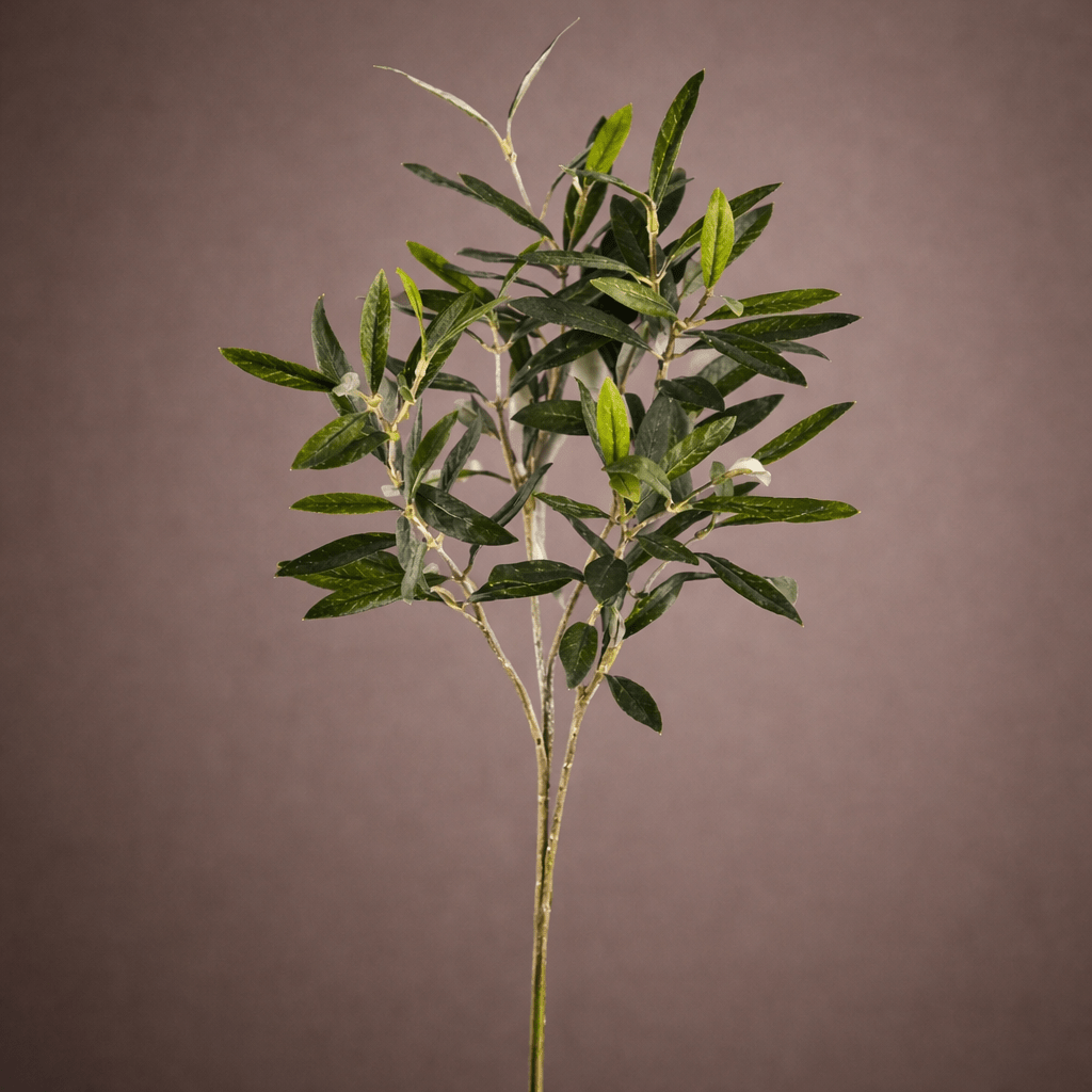 Premium Artificial Olive Branch - PAMPASKONING