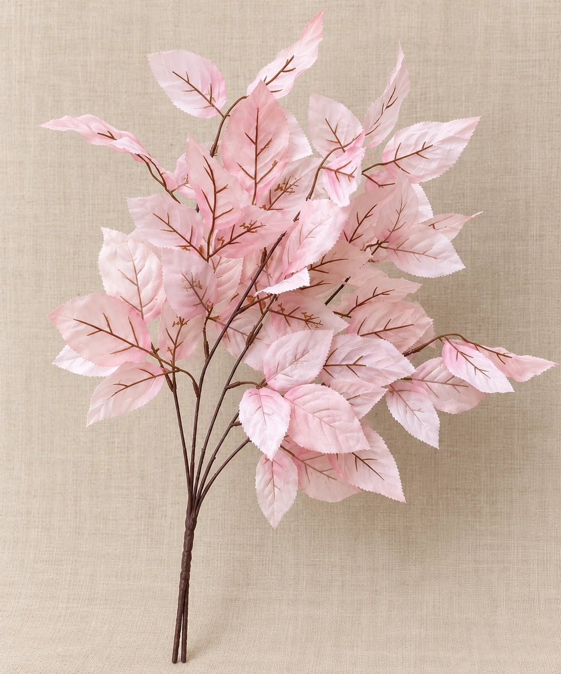 ROSE LEAFS PINK - PAMPASKONING