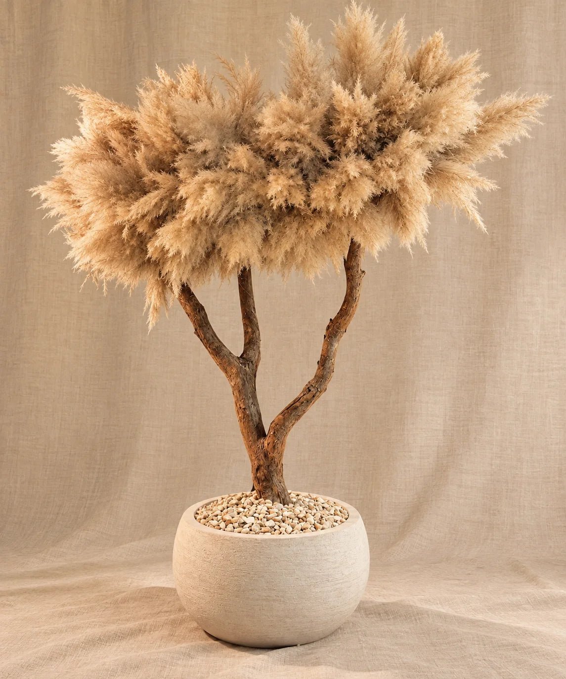 SEREGATI Pampasgras – 260cm × 190cm Großes Statement
