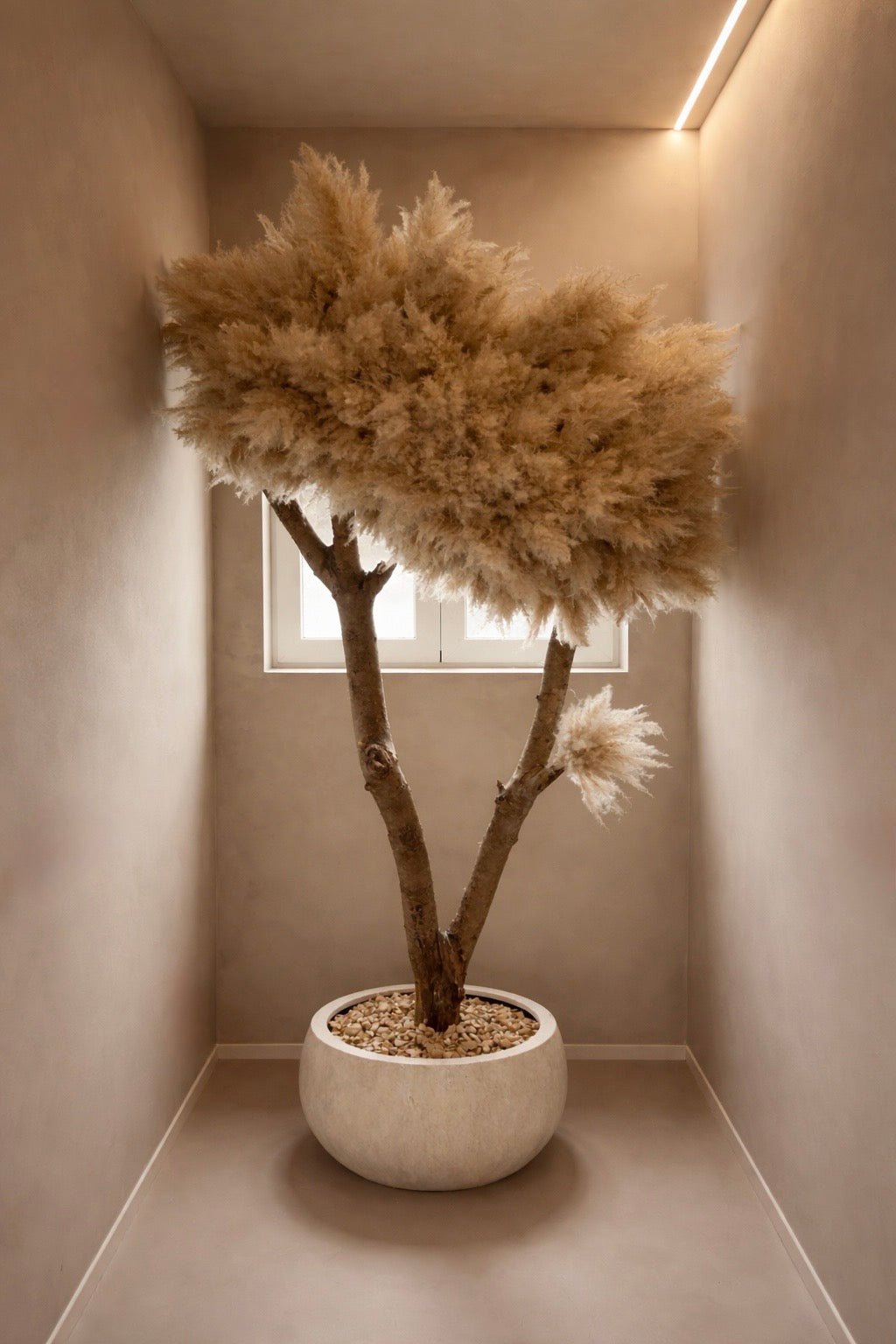 SEREGATI PAMPAS TREE - PAMPASKONING