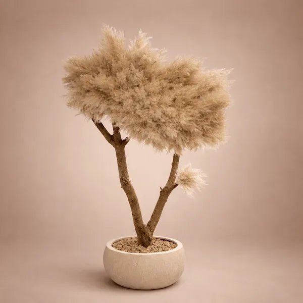 SEREGATI PAMPAS TREE - PAMPASKONING