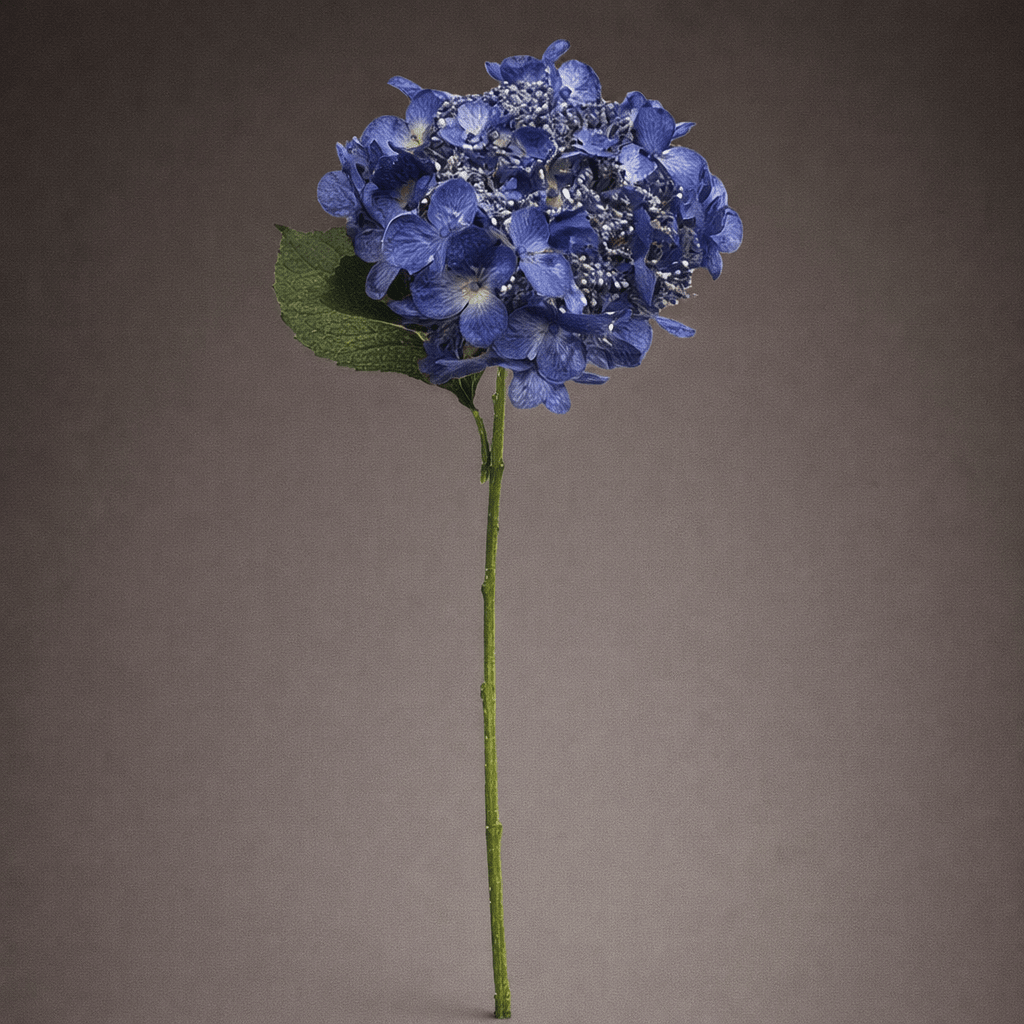 SILK BLUE HYDRANGEA - PAMPASKONING