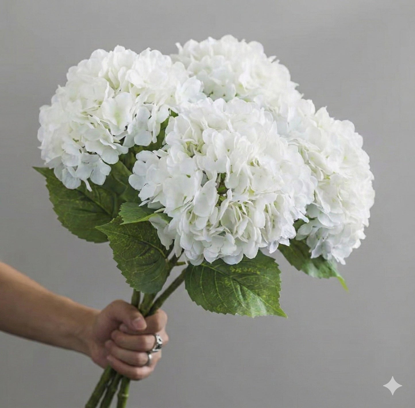 SILK WHITE HYDRANGEA - PAMPASKONING