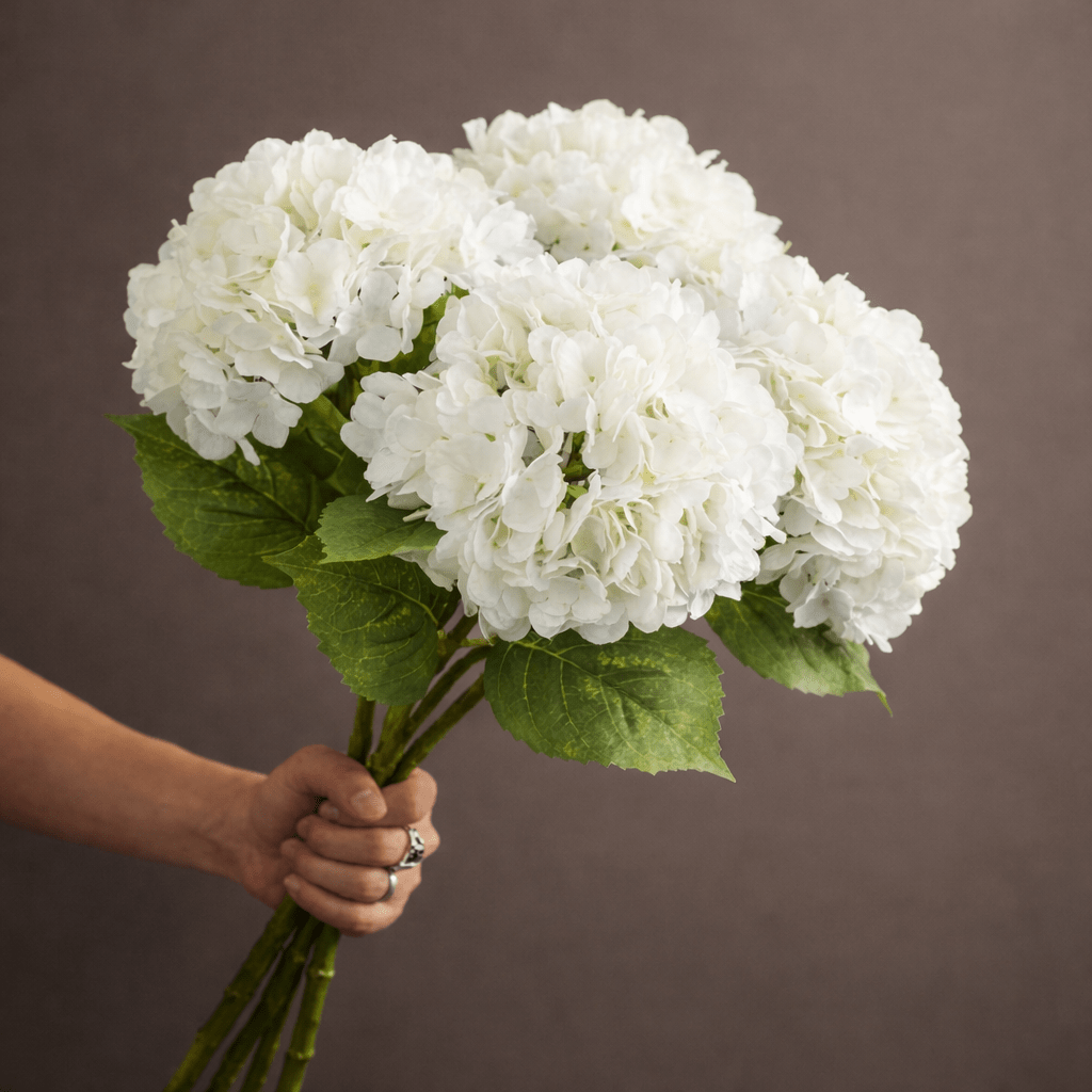 SILK WHITE HYDRANGEA - PAMPASKONING