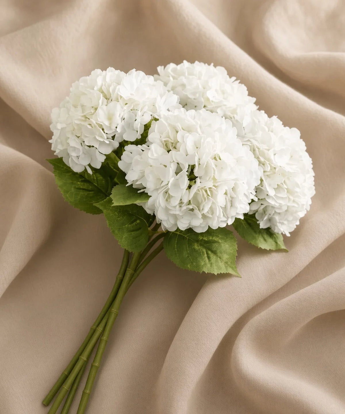 SILK WHITE HYDRANGEA - PAMPASKONING