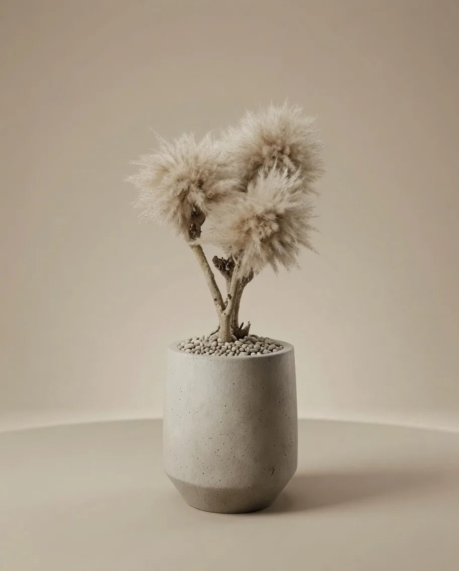 TRAVERTINE BONSAI - PAMPASKONING