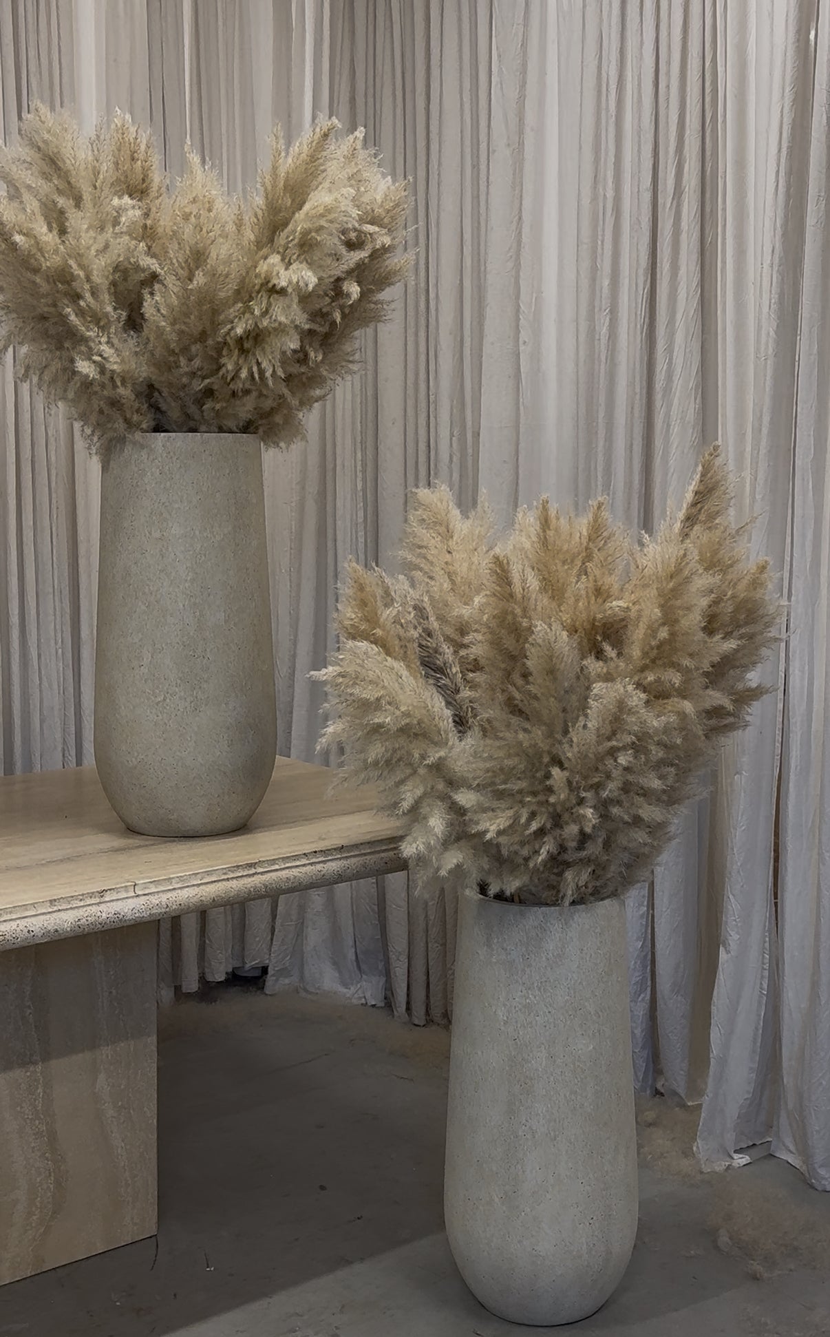 AMBUSH - POT & PAMPAS - HOMEDECOR - PAMPASKONING