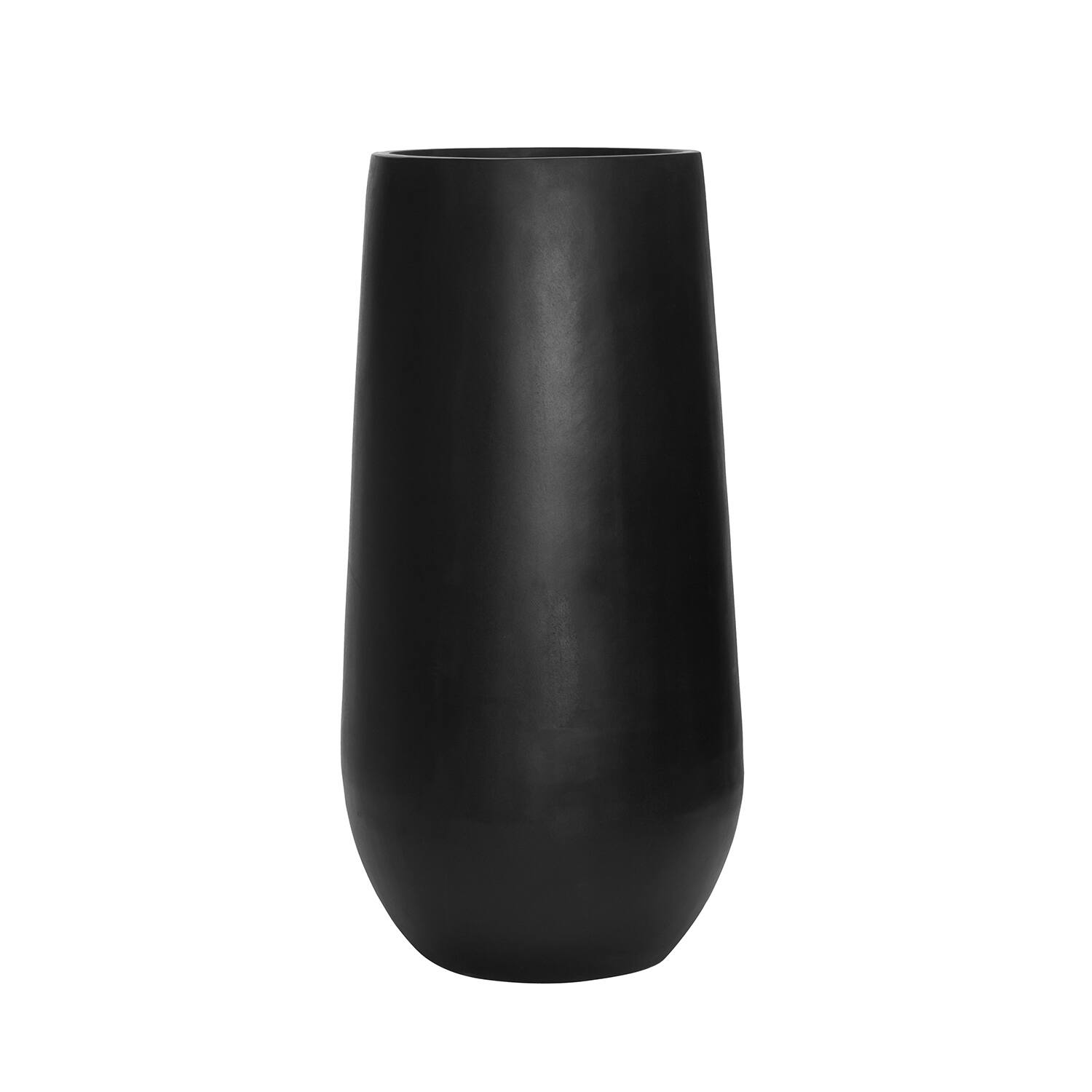 AMORE M BLACK - PAMPASKONING