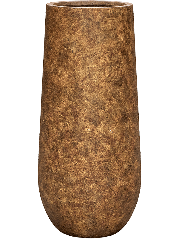 AMORE M BROWN - PAMPASKONING