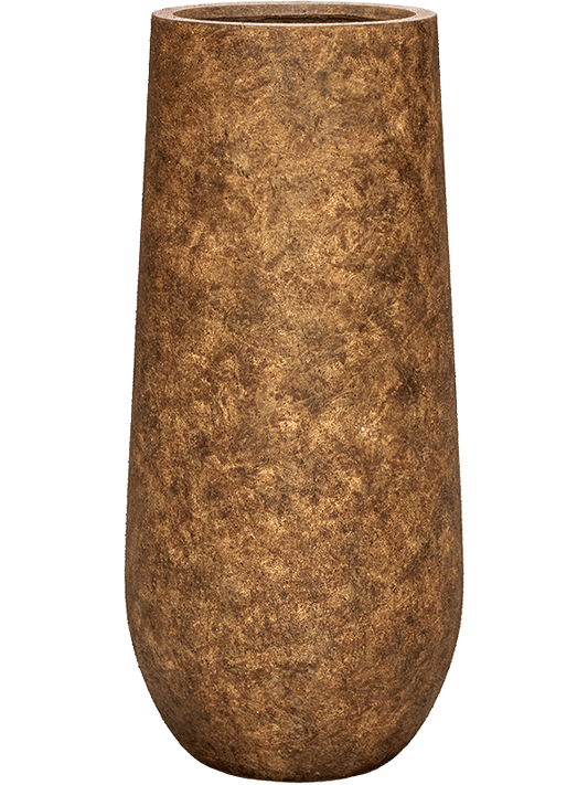 AMORE M BROWN - PAMPASKONING