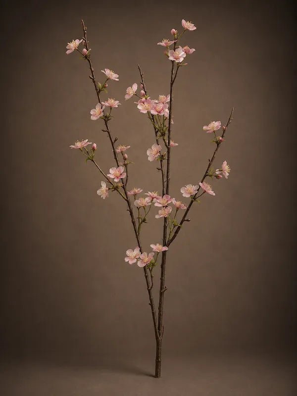 APPLE BLOSSOM - PAMPASKONING