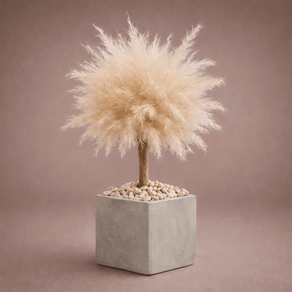 BABY BONSAI - PAMPASKONING