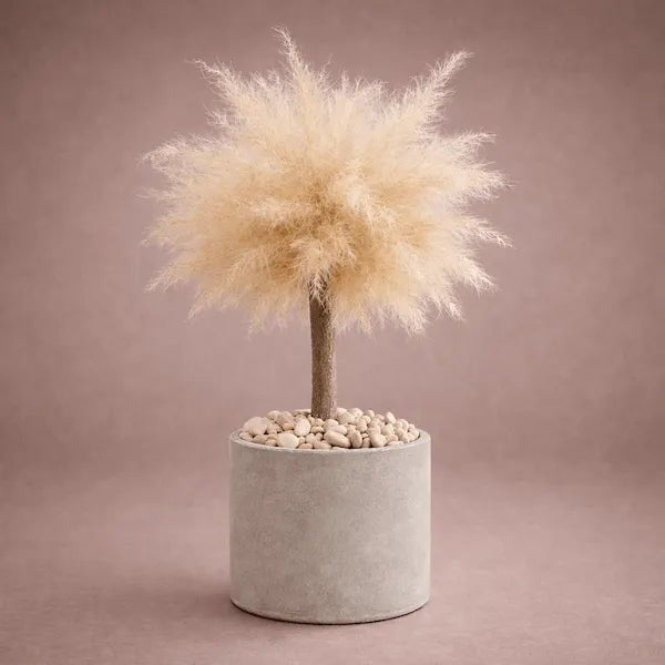BABY BONSAI - PAMPASKONING