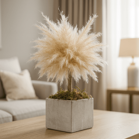 BABY BONSAI - HOME DECOR - PAMPAS TREE - PAMPASKONING