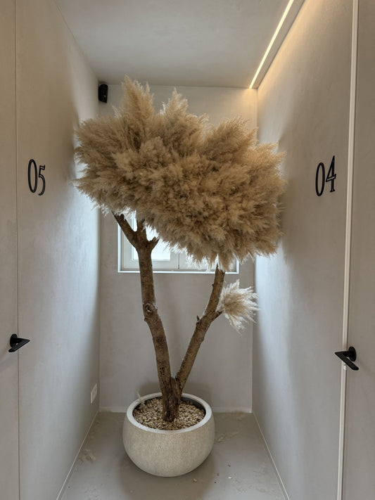 BLOSSOM TREE - HOME DECOR - BEIGE INTERIOR - PAMPASKONING