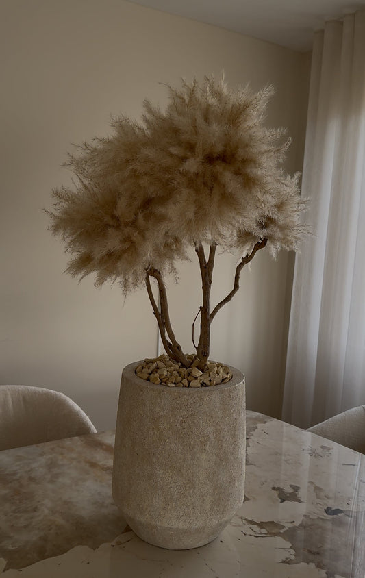BONSAI TM5 - PAMPASKONING