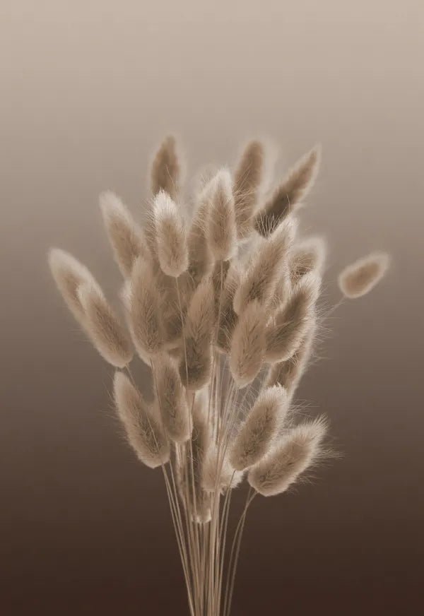 BUNNY TAILS - PAMPASKONING